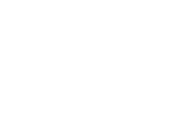 A1