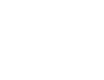 Palfinger Kran
